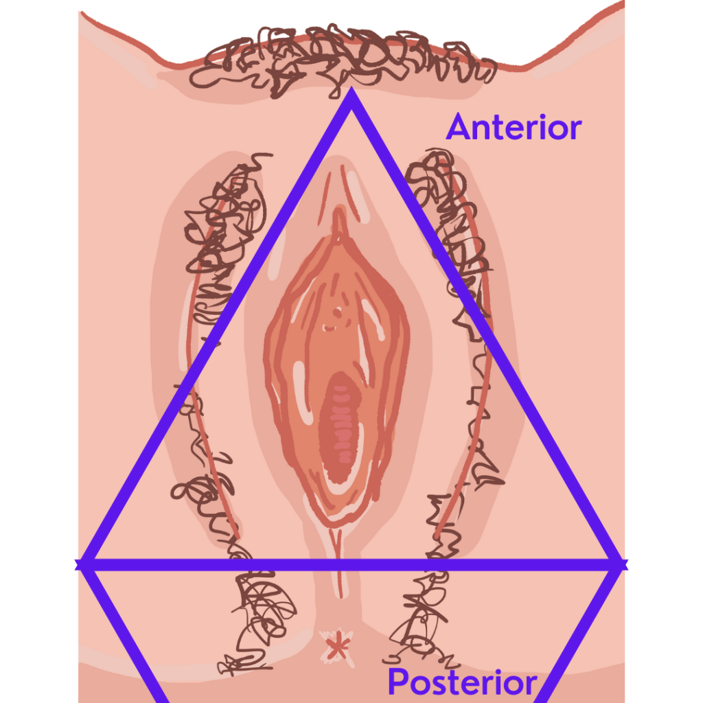 Masaje Perineal